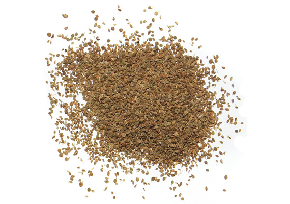 Celery seed oil